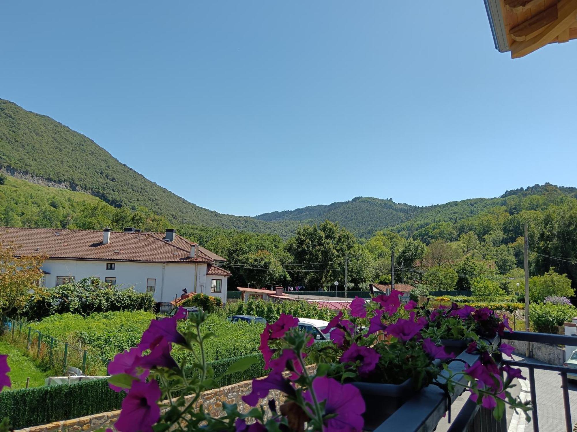 Urdaibai Mungabe Apartment Busturia Exterior photo